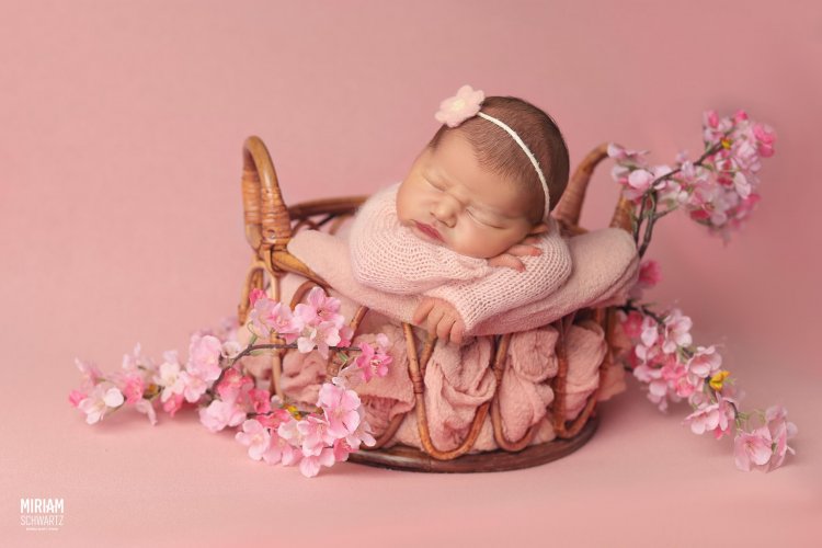 הדס צילום מרים שוורץ 0533170218 (1).jpg