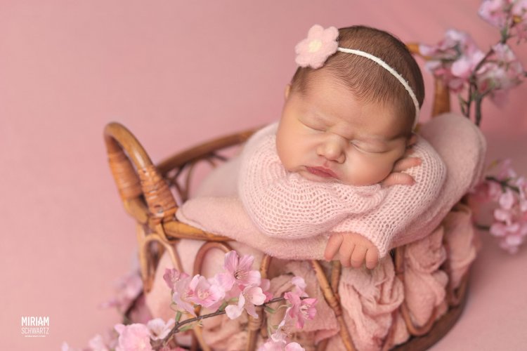 הדס צילום מרים שוורץ 0533170218 (2).jpg