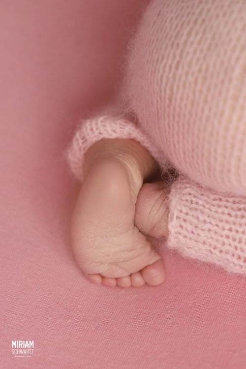 הדס צילום מרים שוורץ 0533170218 (6).jpg