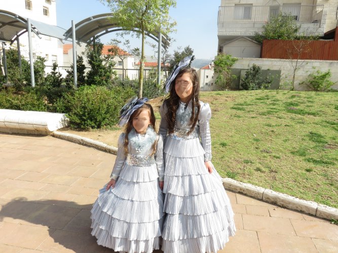 נסיכות מטושטש.JPG