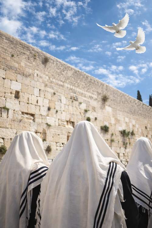 ChatGPT Image Feb 20, 2026, 12_19_00 AM.png