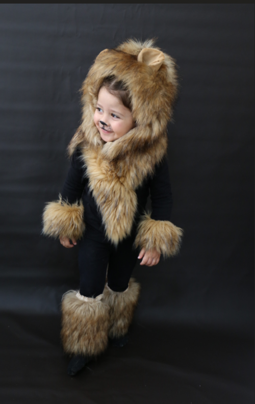 צילום מסך 2026-01-31 211137.png