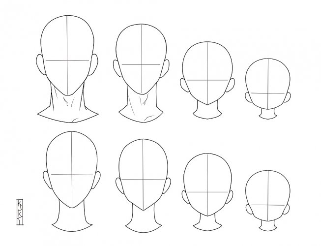 ראשים לפי גיל.jpg