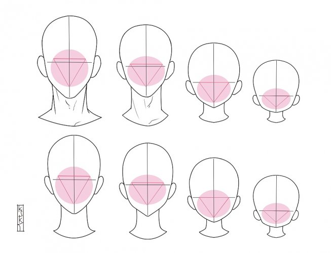 ראשים לפי גיל 2.jpg