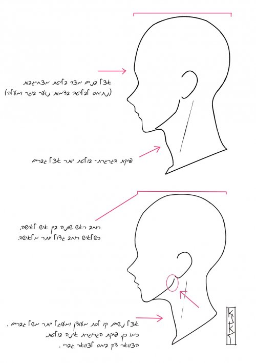 הבדל בין איש לאישה.jpg