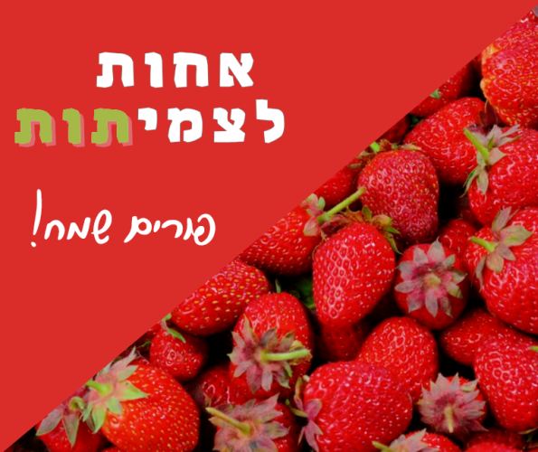 1771782601420 (1).png