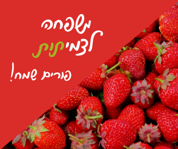 1771782601420 (1).png