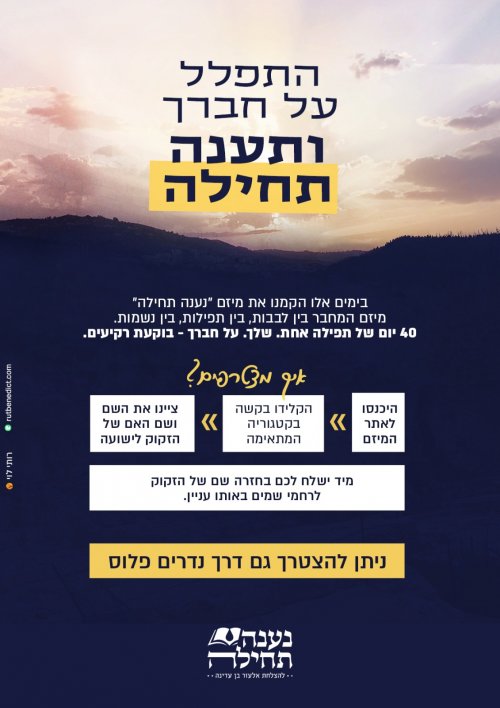 WhatsApp Image 2026-02-26 at 10.45.43.jpeg