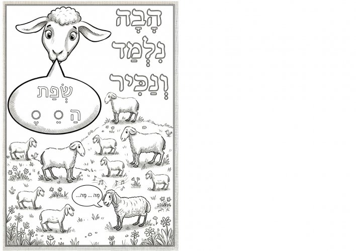 עטיפה שחור לבן.jpg