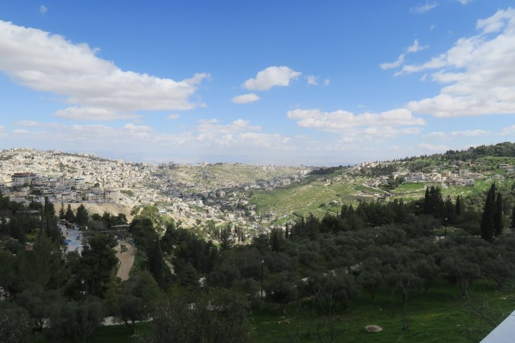 נוף מהבית.JPG