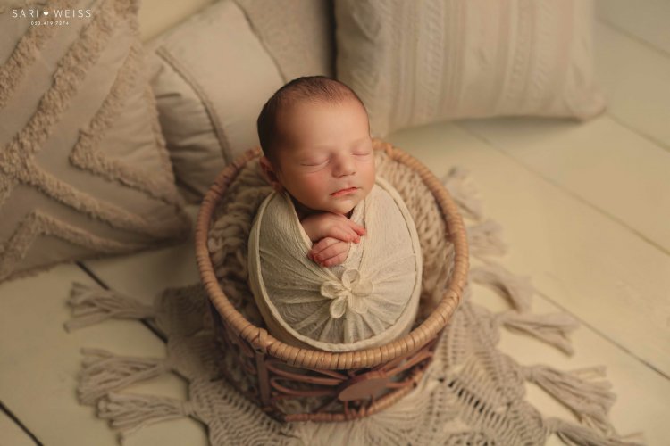 מפעל הפורמטים237A8215 copy מוק.jpg