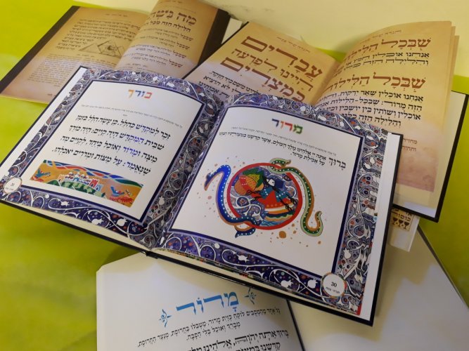 WhatsApp Image 2026-03-10 at 15.27.15 (1).jpeg