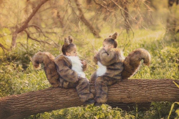 סנאים יושבים.jpg