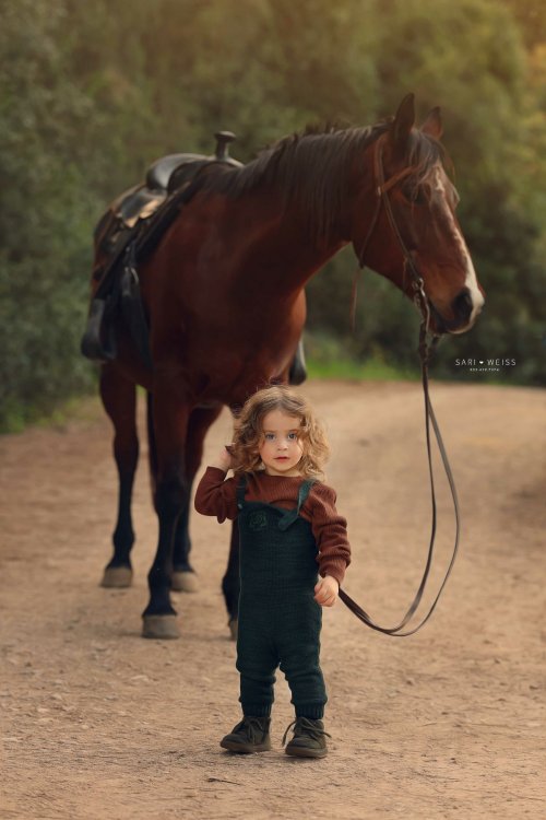 מפעל הפורמטים237A1695 copy.jpg