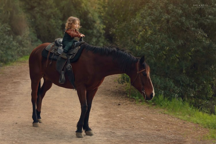 מפעל הפורמטים237A1717 copy 2.jpg