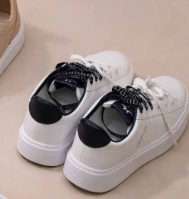 נעל שבחרתי.png