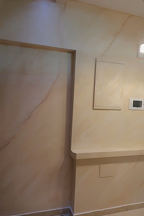 כניסה לבית.JPG