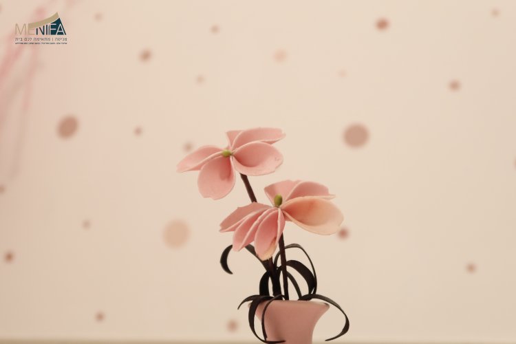 עיצוב שיינדי שיף9.jpg