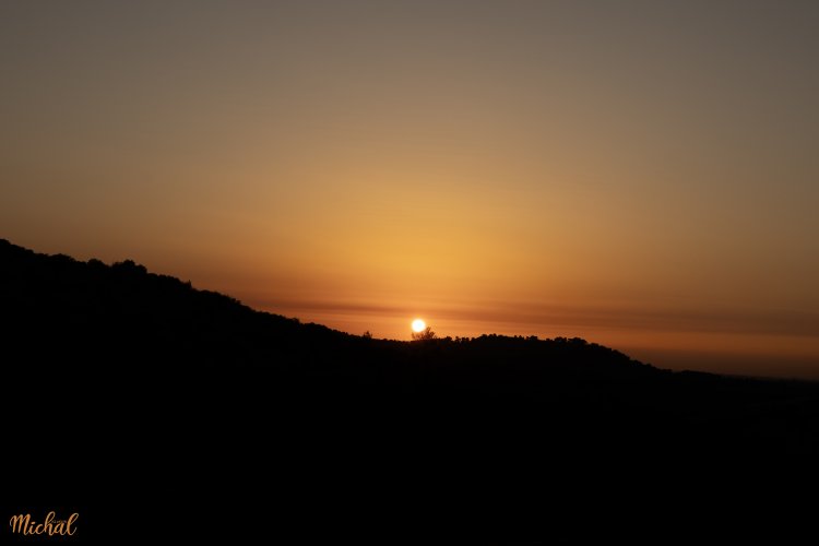 צילום מיכל 1 0534104396.jpg