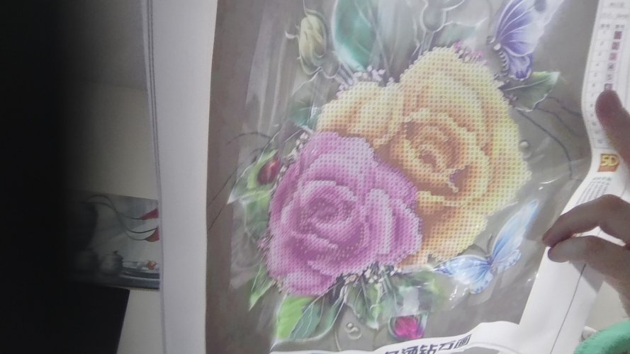 פרחים עם פרפרים -לפני יצירה.jpg