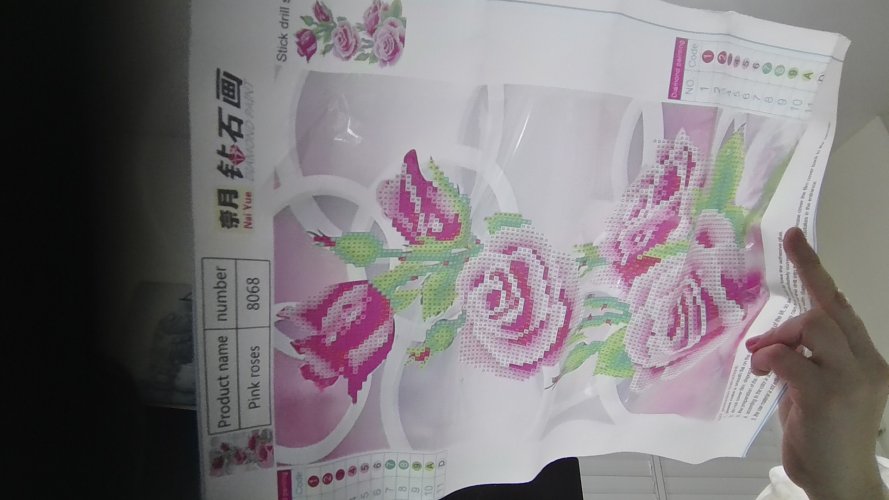 פרחים ורוד לאורך-לפני יצירה.jpg