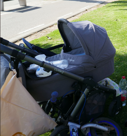 צילום מסך 2026-03-15 135448.png