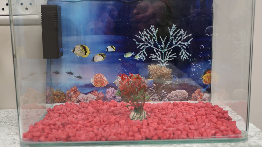 אקוריום במחיר מציאה