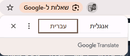 צילום מסך 2026-03-20 132809.png