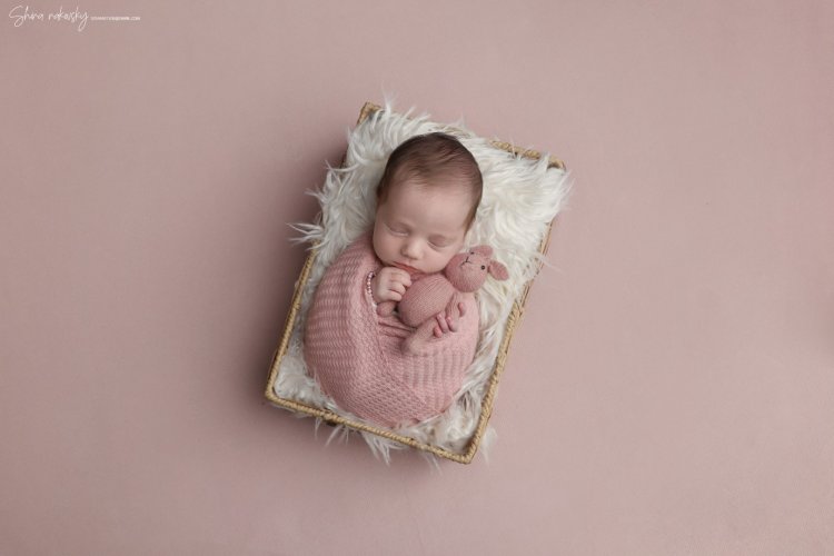 צילום שירה רקובסקי s0548481508 gmail (12).jpg