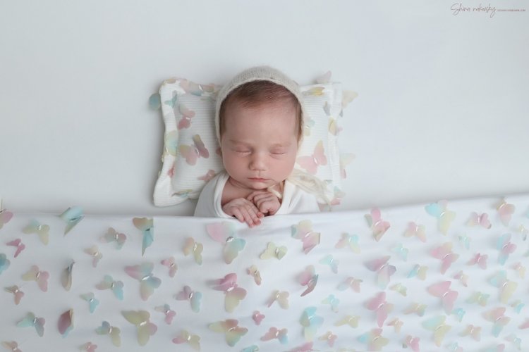 צילום שירה רקובסקי s0548481508 gmail (15).jpg