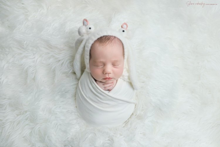 צילום שירה רקובסקי s0548481508 gmail (16).jpg