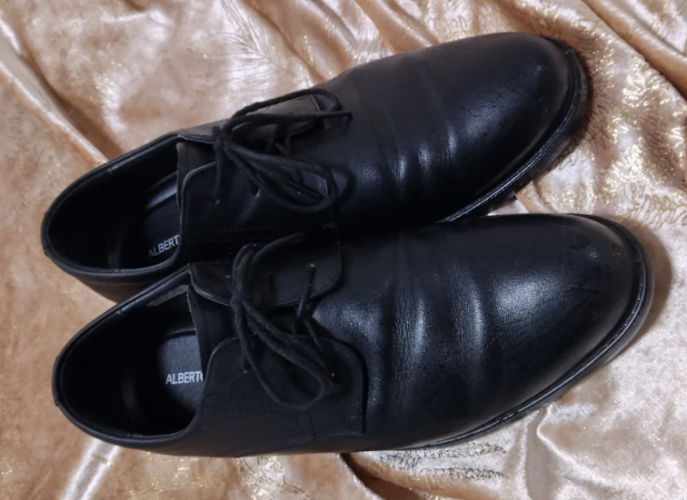 צילום מסך 2026-03-20 002917.png