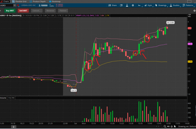 צילום מסך 2026-03-23 135027.png