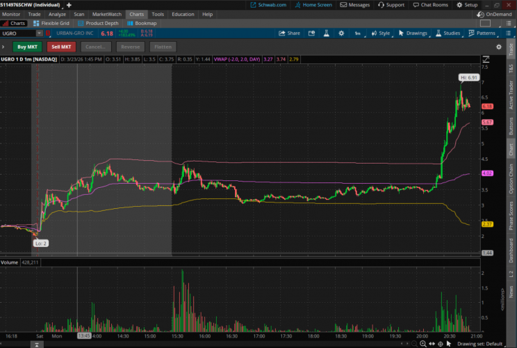 צילום מסך 2026-03-23 205845.png