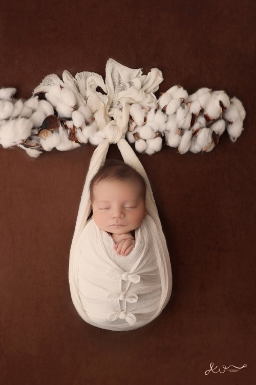 אילה וויג צלמת ניו בורן בבית הלקוח 0548524765        (30).JPG