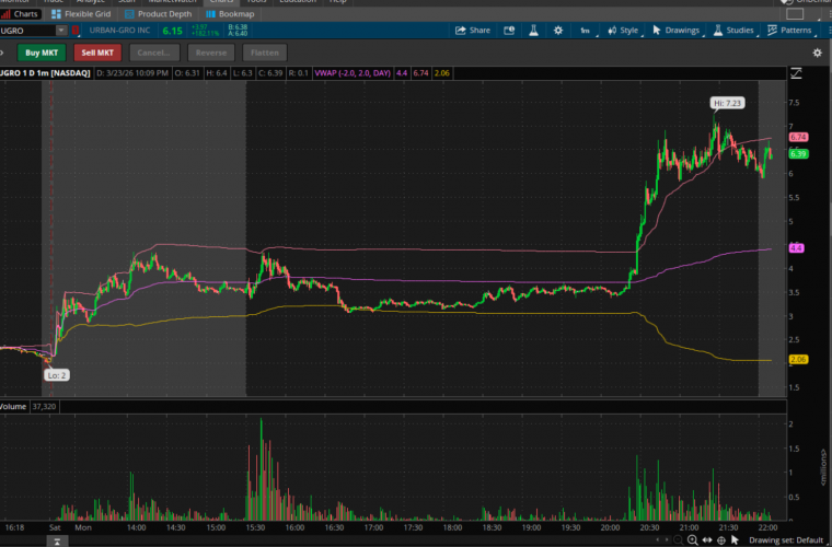 צילום מסך 2026-03-23 220953.png