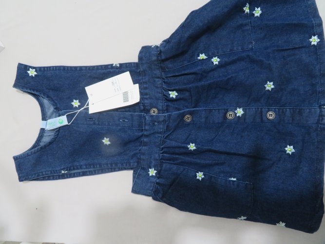 598 - סרפן דיגום פרחים.JPG