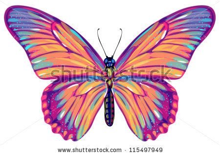 stock-vector-butterfly-115497949.jpg