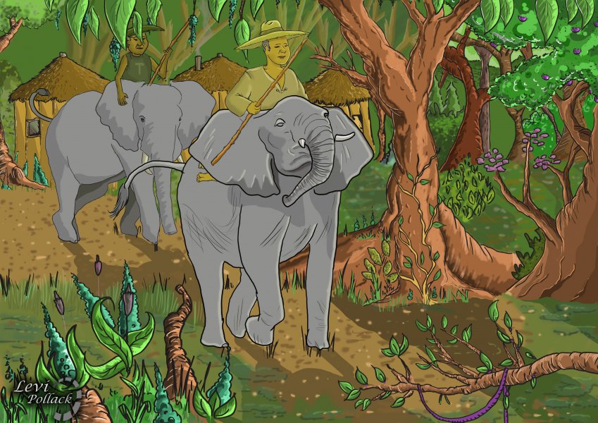 רכבי פילים ביער  09001 .jpg