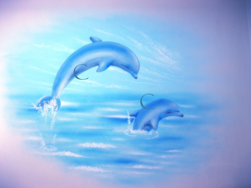 cדולפינים.jpg