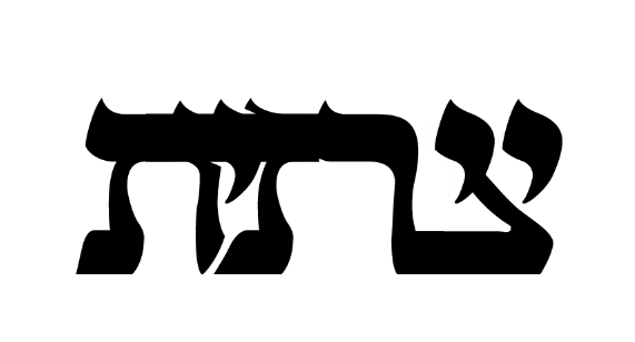 ‏‏לכידה.PNG