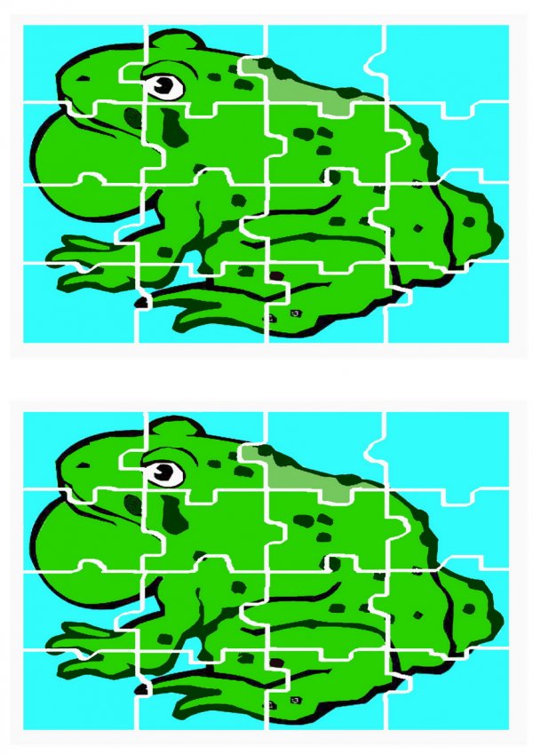 צפרדע 16 חלקים.jpg