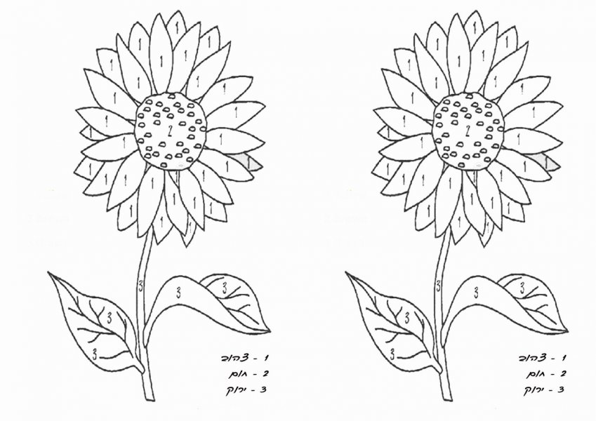 פרחים 2.jpg