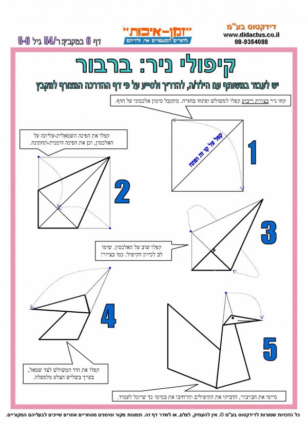 ברבור.JPG