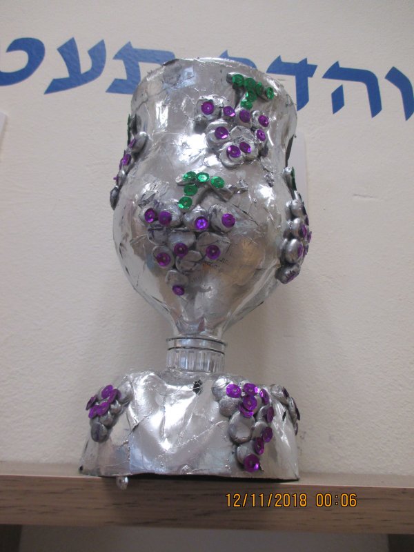 ‏‏IMG_0073 - עותק.JPG