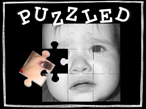 puzzle-shannon.jpg