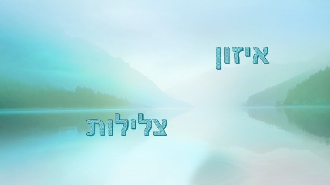 שקופית3.JPG