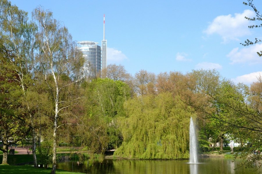 essen-82672_1280.jpg