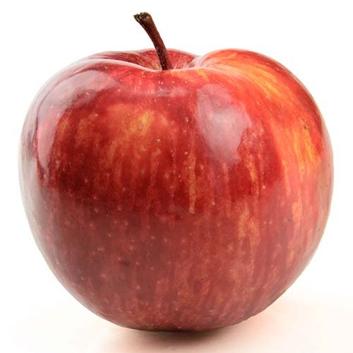 תפוח-עץ.jpg