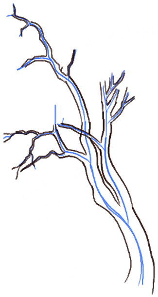 tree (2).png
